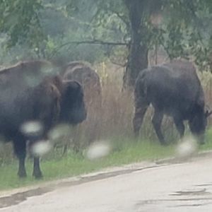 Meet your Posher, Mel